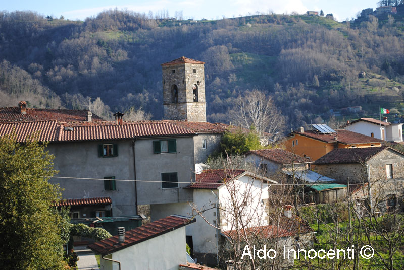 CAMPO: PANORAMA